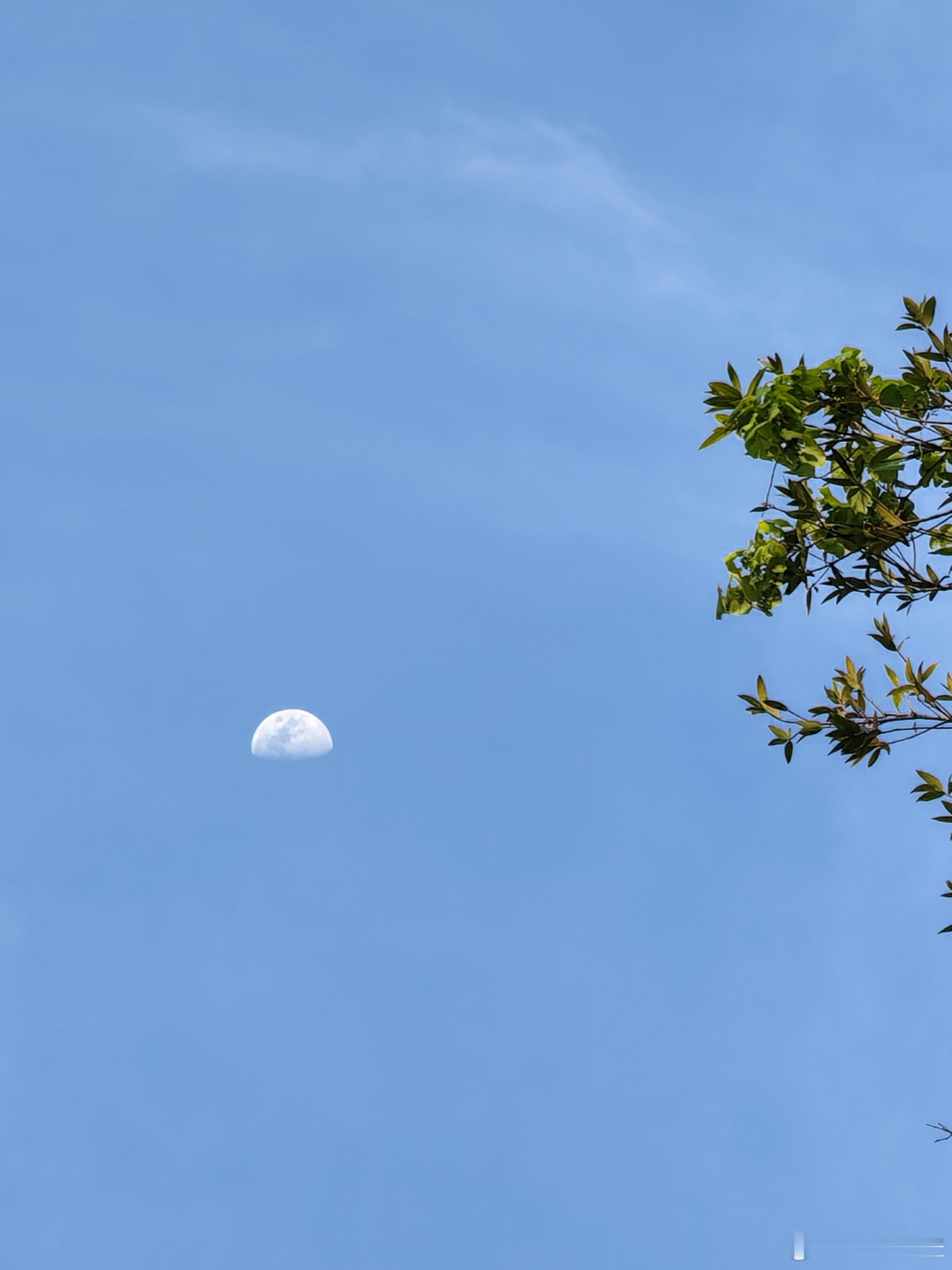 荣耀magicv6的拍照能力真的刷新认知，白天拍月亮完全不是问题。搭载6400