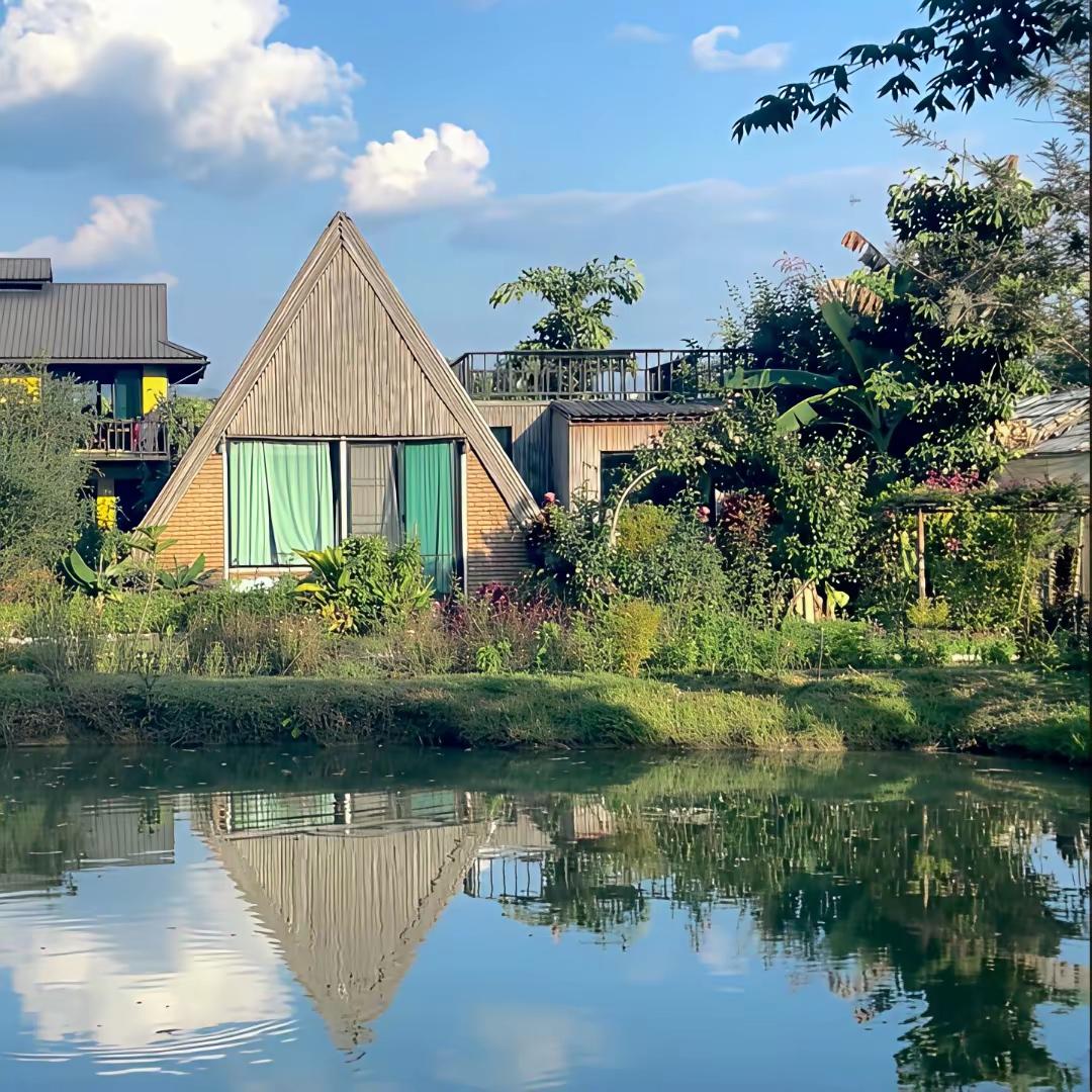 最近发现个有意思的现象，不少明星扎堆往清迈跑。瞿颖五年前就搬去了，日常打网球、做