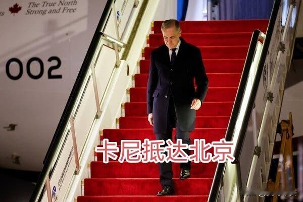 加拿大主持人谈卡尼访华如果我是卡尼我也会和中方搞好关系，想想我们为美国付出了多
