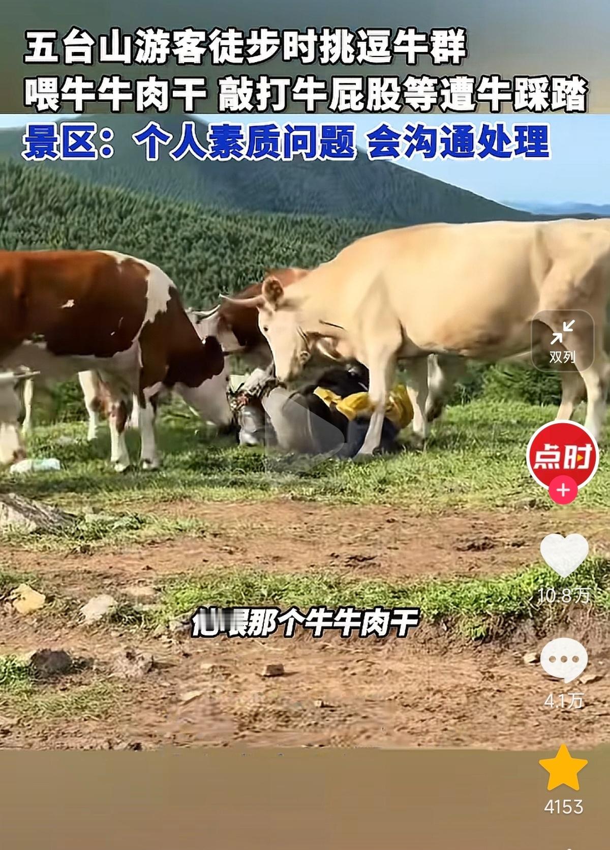 这种人纯属犯剑​​​