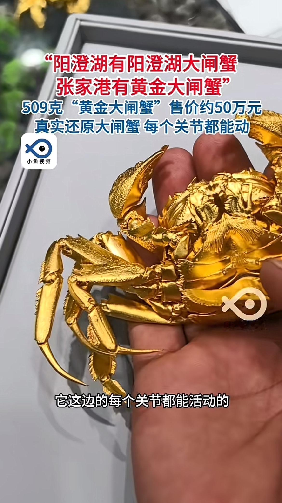 50万的黄金大闸蟹,每个关节还都能动,这简直是大闸蟹界的“超级王者”!平时咱在京