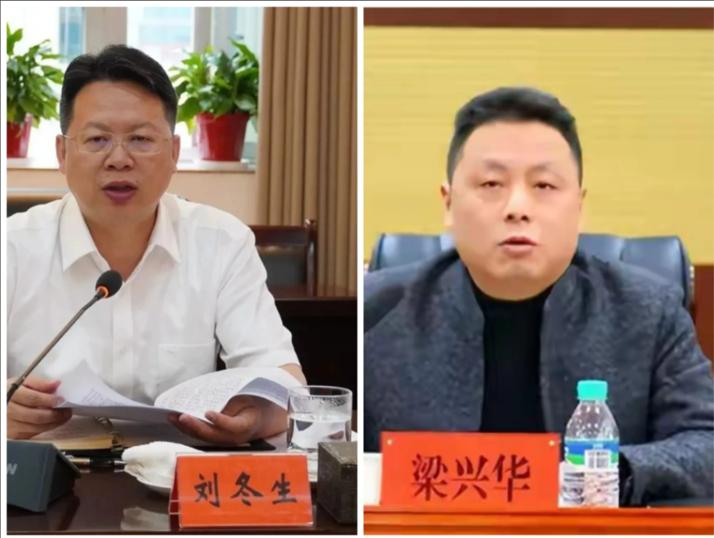 48岁博士副州长落马，叹息一声或与其原任职县长书记的龙山县有关？据称其在