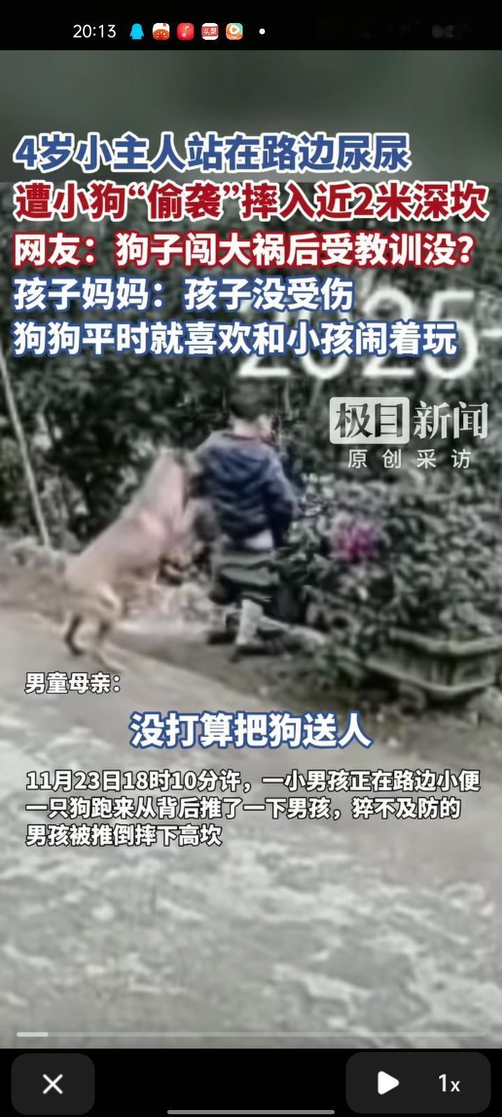 11月23日，贵州遵义。男孩在路边小便，一只狗跑来从背后推了一下男孩，猝不及防的