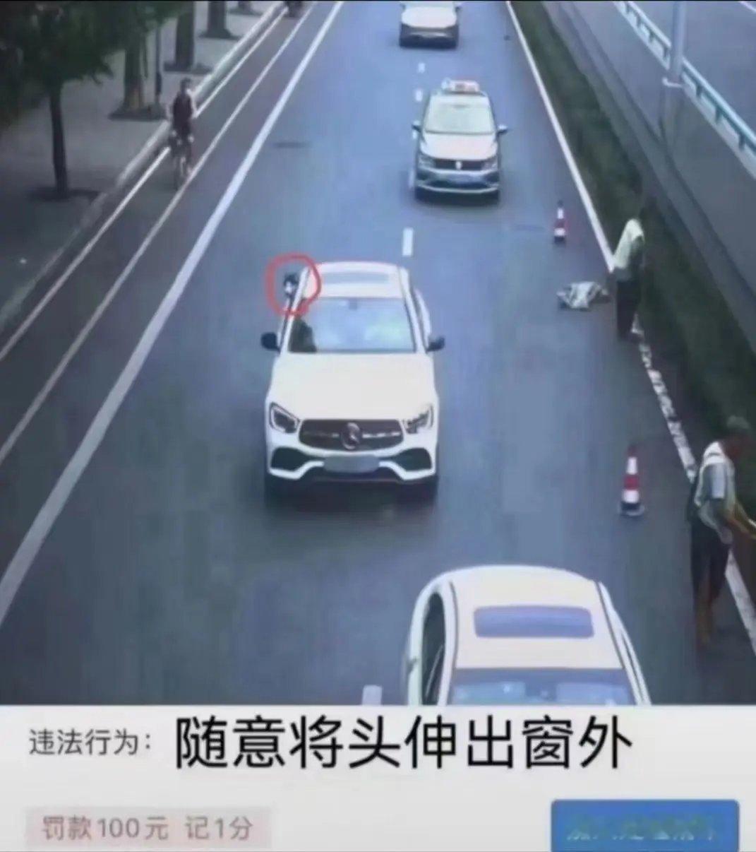 这违章认定完全没毛病，人头狗头都是头～