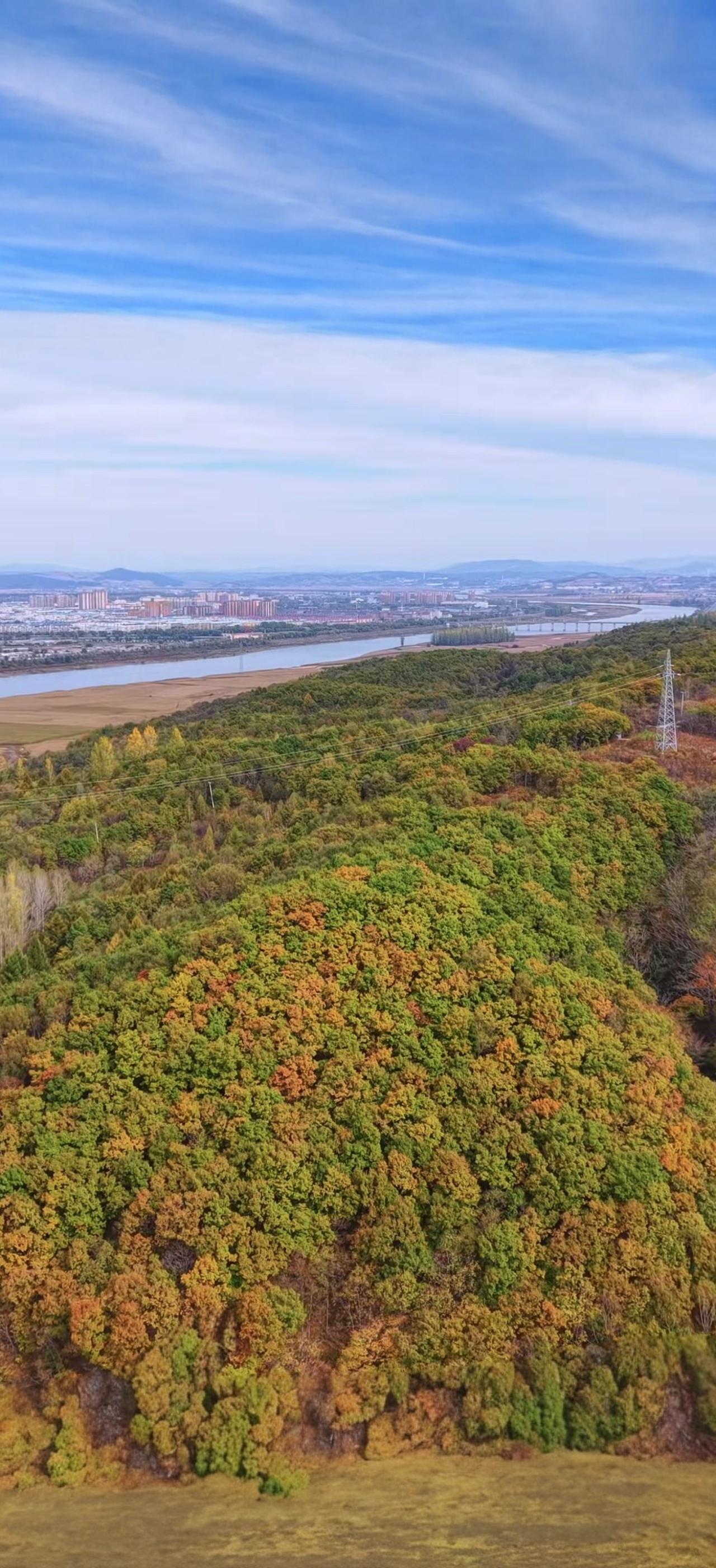 与痛风斗争的历程49与痛风抗争的每一天，都是从感受身体开始的。今天早