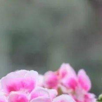 如果人能够一生只做自己胜任愉快的事情，能够只交往给自己带来愉悦感的人，能够克制自