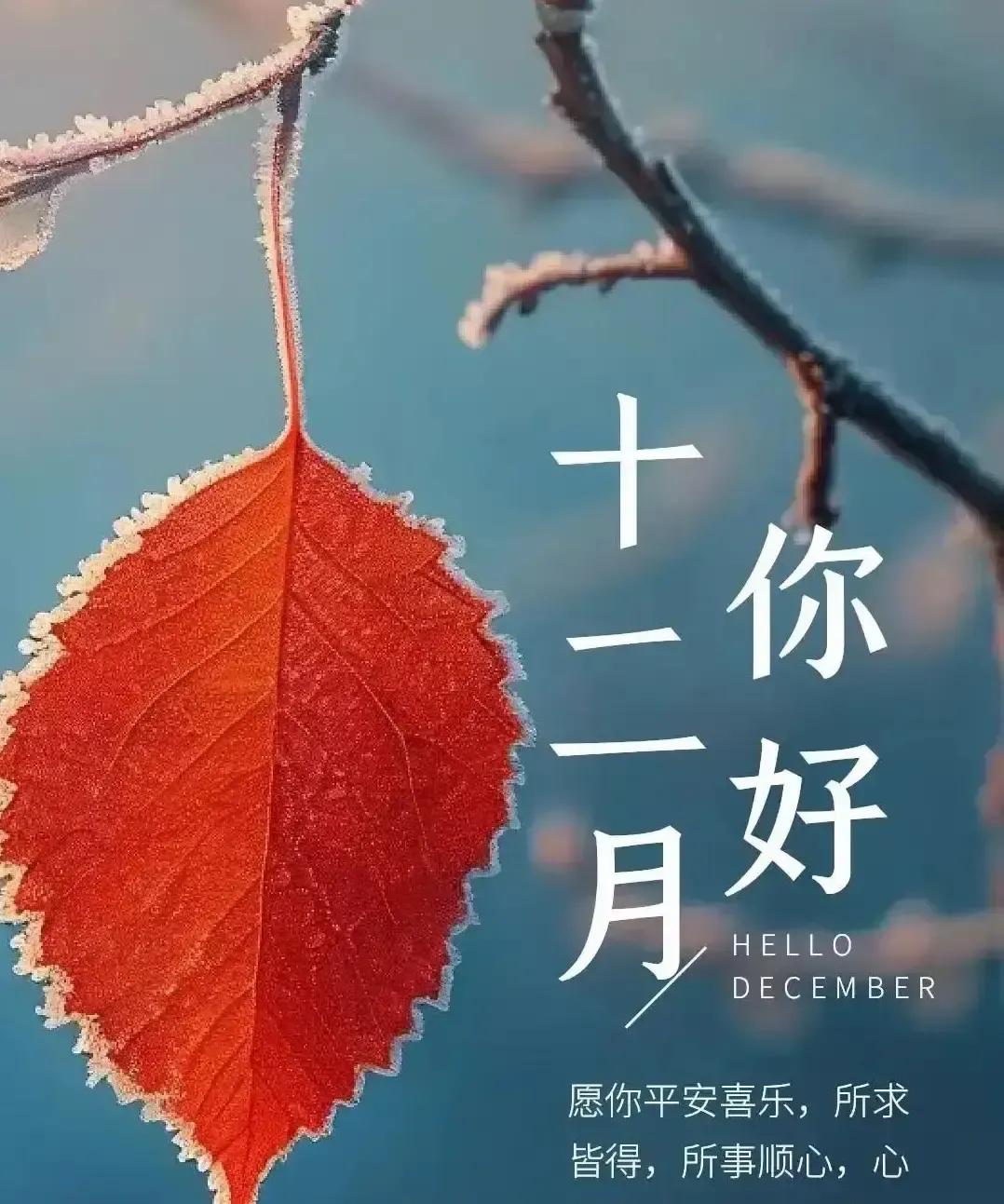 十二月第一天我刷到一条没署名的祝福帖，说愿我们都被十二月温柔以待，新年再抱个满怀