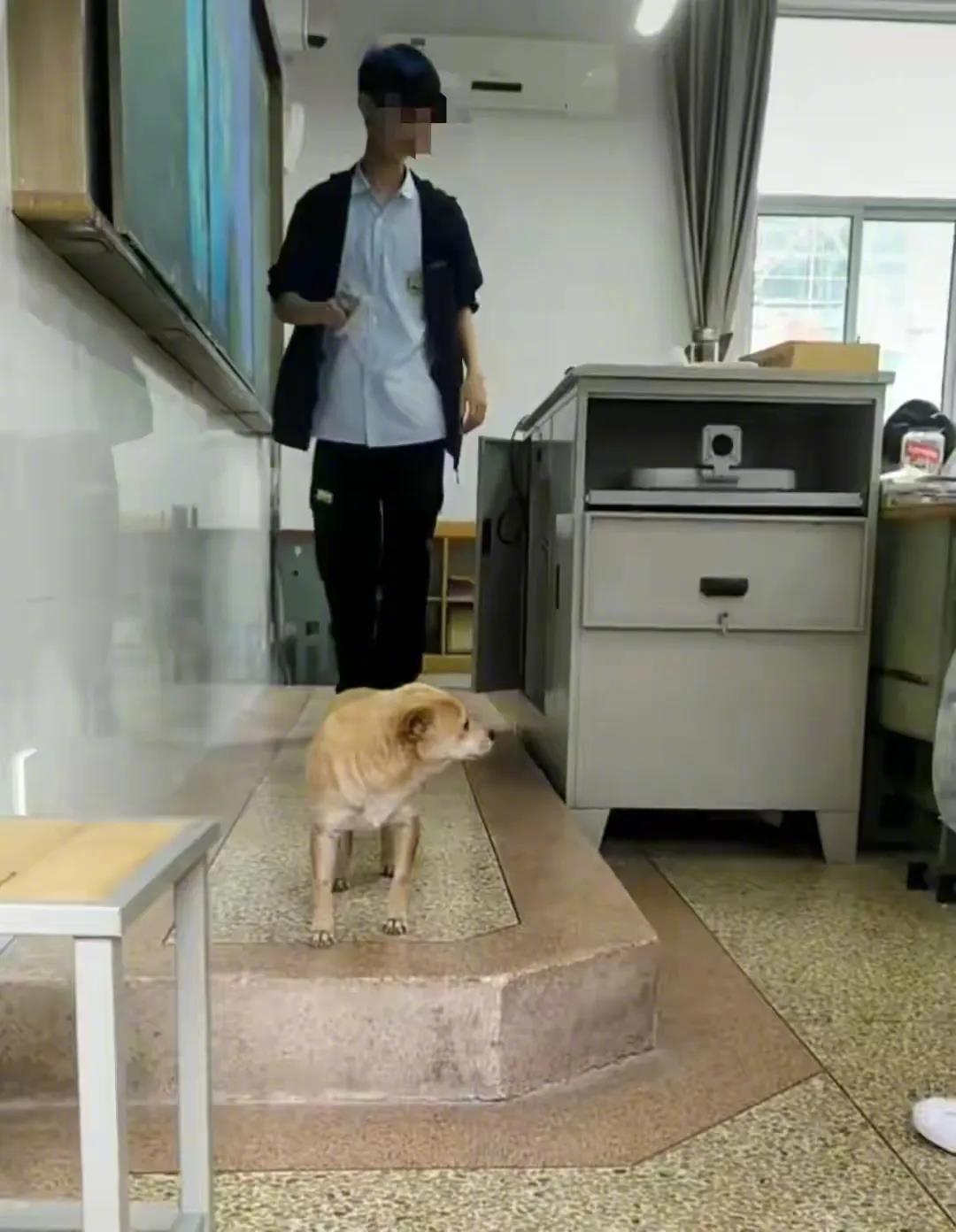 海安高级中学的“黄主任”，你让天天叫嚷打狗的人脸红了吧？海安高级中学，一条黄色的