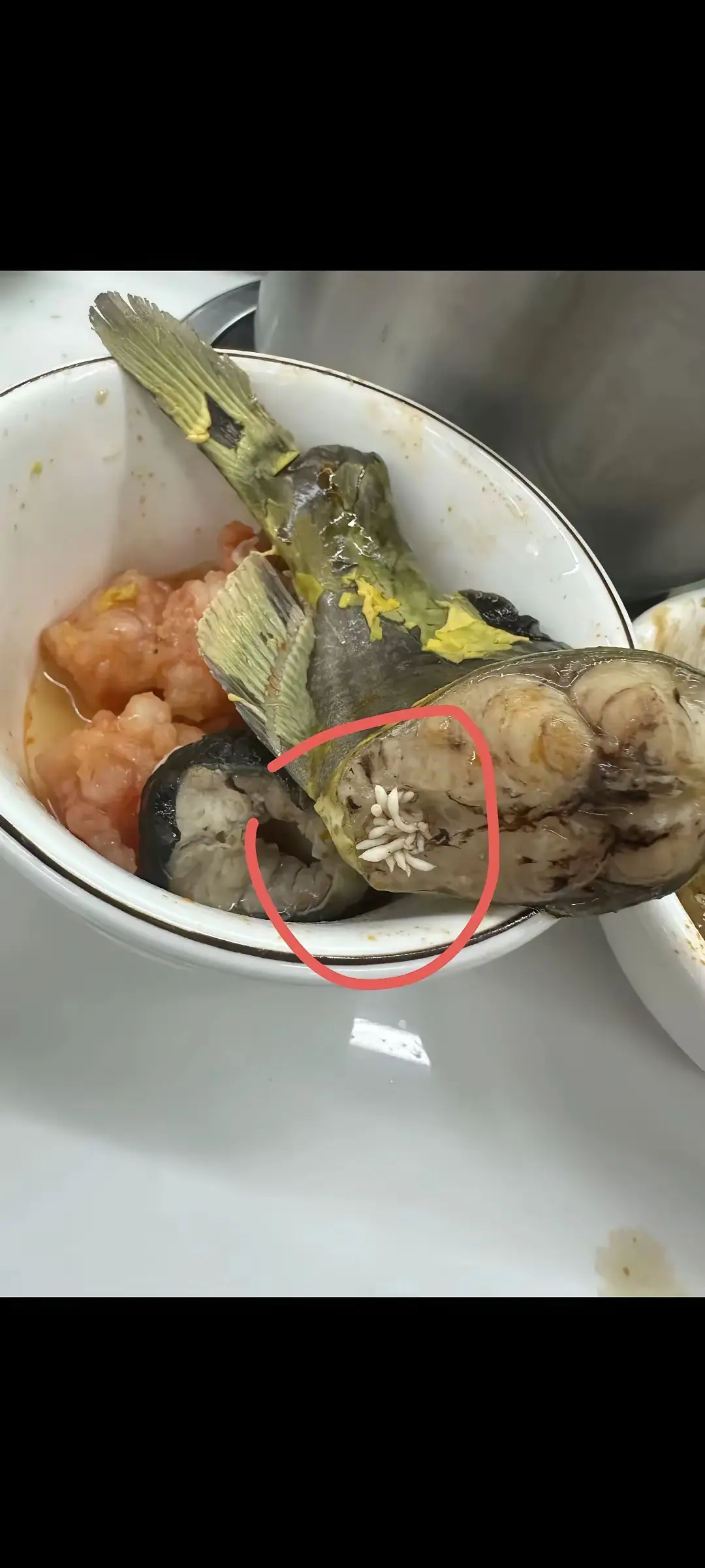 这是什么呀？我能吃吗？？