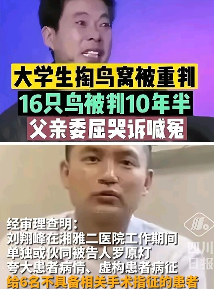 大学生掏鸟蛋判了十年！而我们的刘祥峰，湘雅二院的副主任，为了谋取利益，虚构患者
