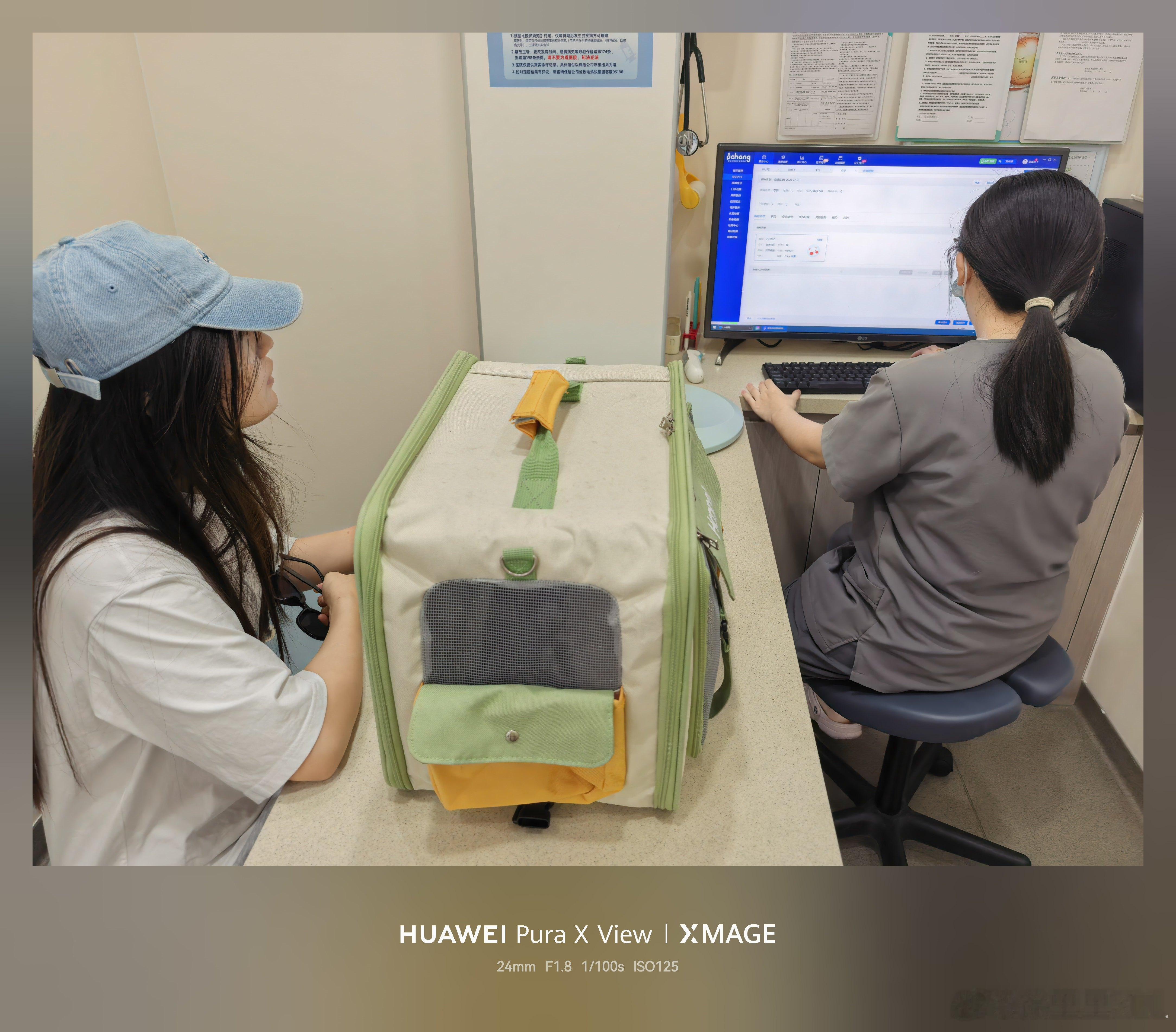 昨天又捡回来一只快死了的流浪猫。今天就要带去医院检查治病。我问她，你捡这么多猫干