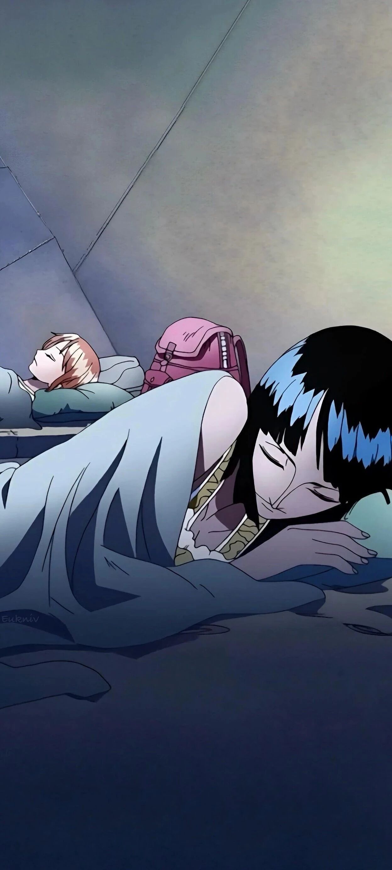 海贼王罗宾酱和娜美桑，一个侧身睡，一个平躺睡～