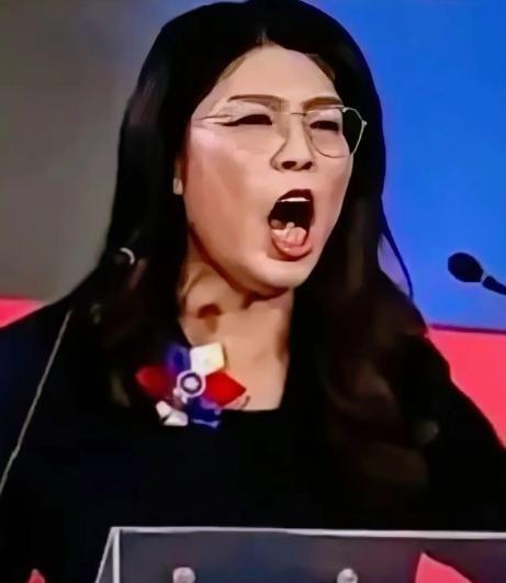 这下彻底热闹透了！两岸乃至国际上的目光全聚过来，台湾地区国民党负责人郑丽文的一句