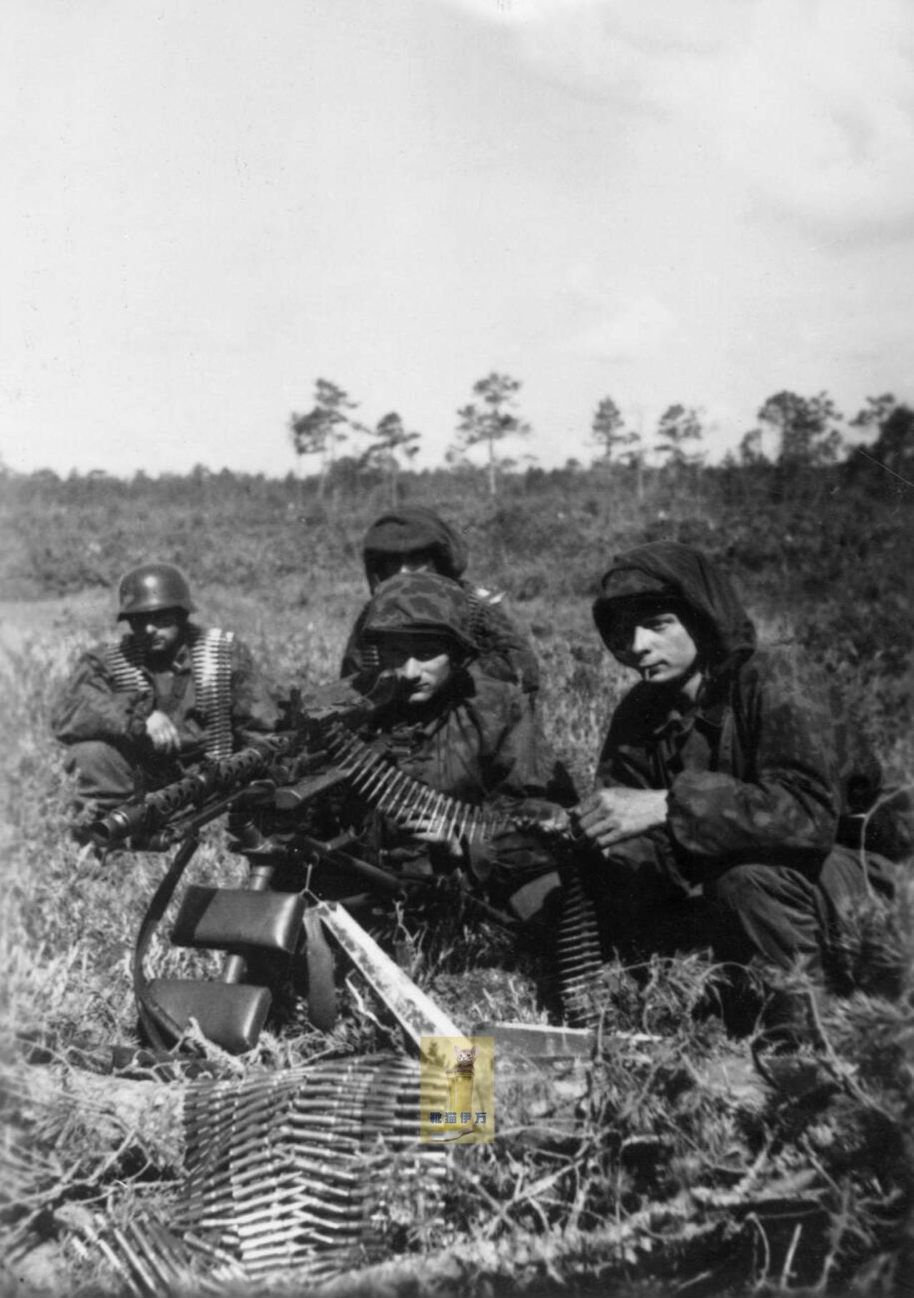 党卫军的外籍军团——1941年（或1942年），党卫军弗兰德斯志愿军团的一个