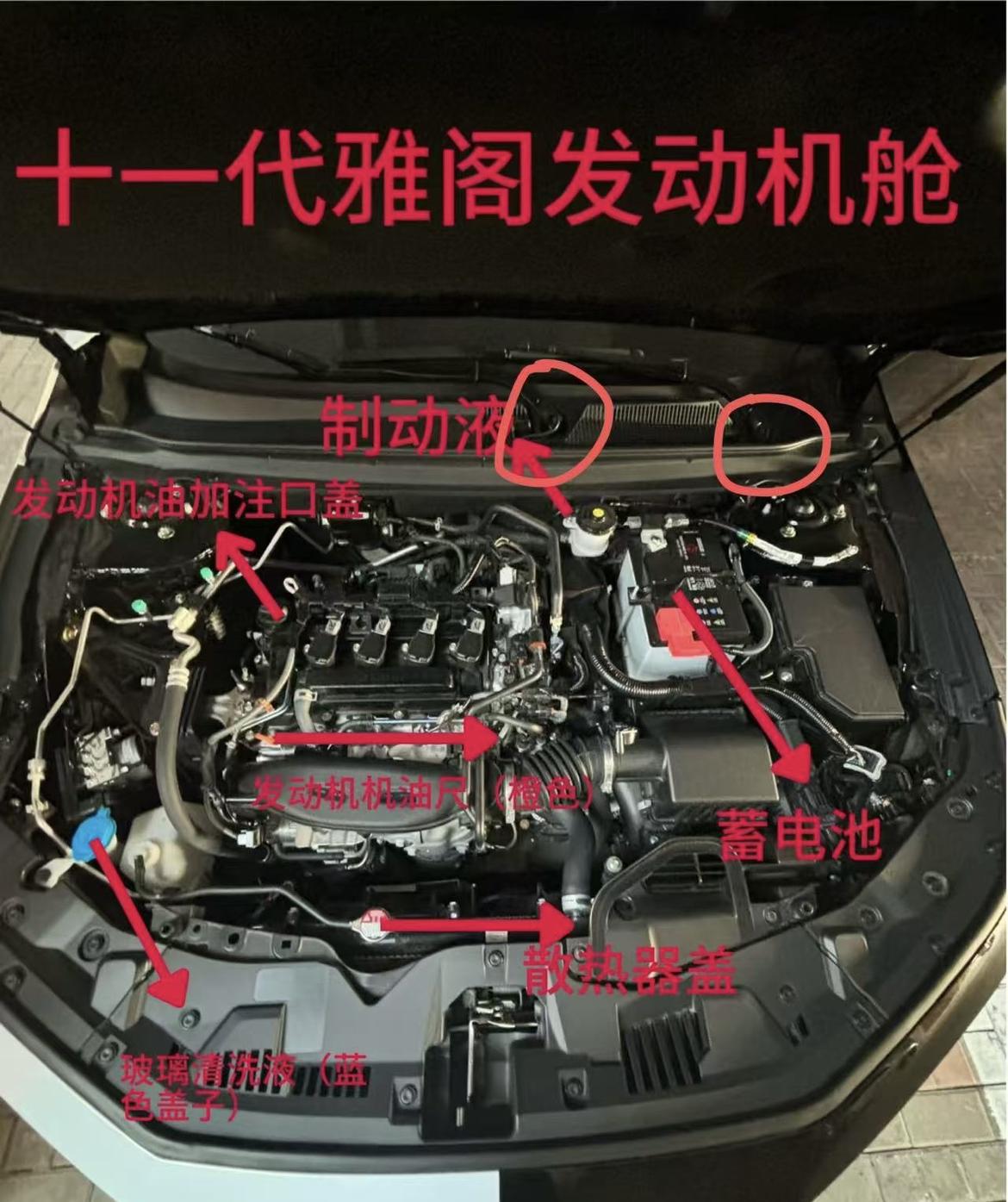 十一代尊贵雅阁，碰到的问题