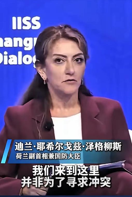 真硬气！31号“香会”期间，中国代表刘万侠大校现场向荷兰副首相兼国防大臣迪兰·耶