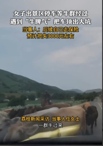 “防不胜防！”近日，在新疆伊犁，一位女子开着自己的车到当地的景区里自驾游，谁知道