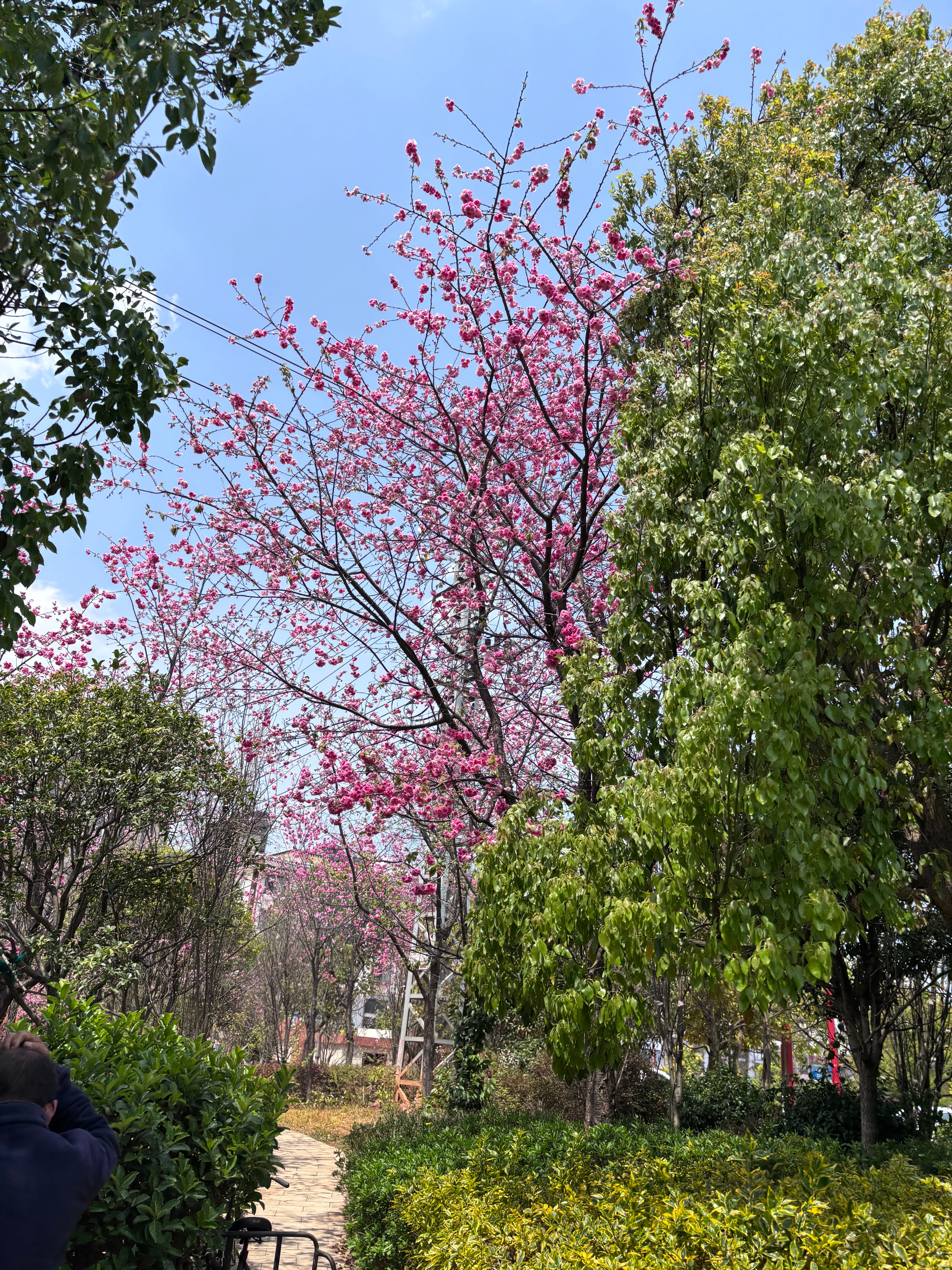 读书是见世面最快的方式我的私人宝藏书单书评风会吹散所有遗憾，海会接住每颗心碎“