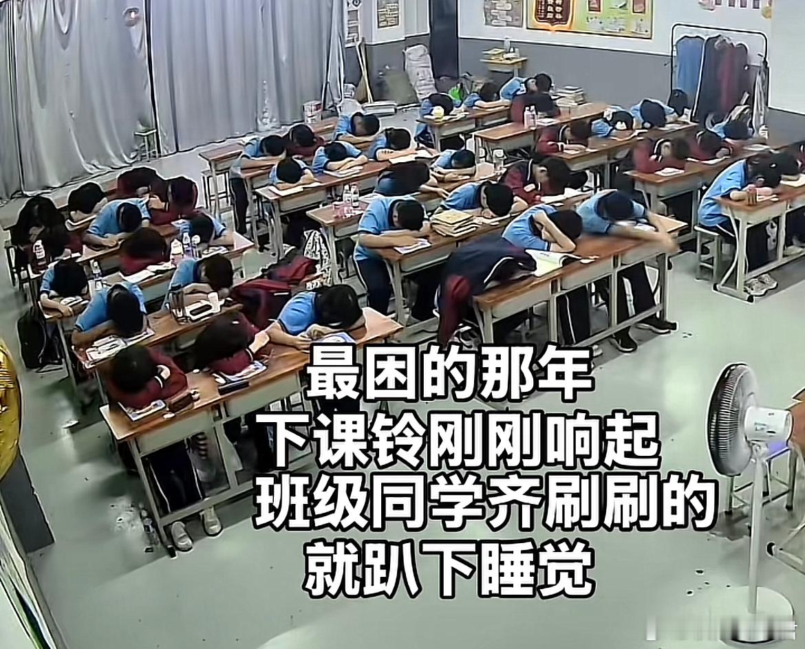 那10分钟，简直就是人间仙境，秒睡的。​​​