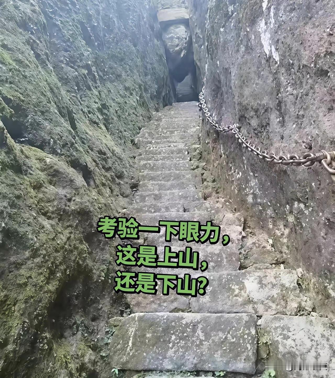 高人看看，这是上山的路还是下山的路？有没有一眼锁定的？