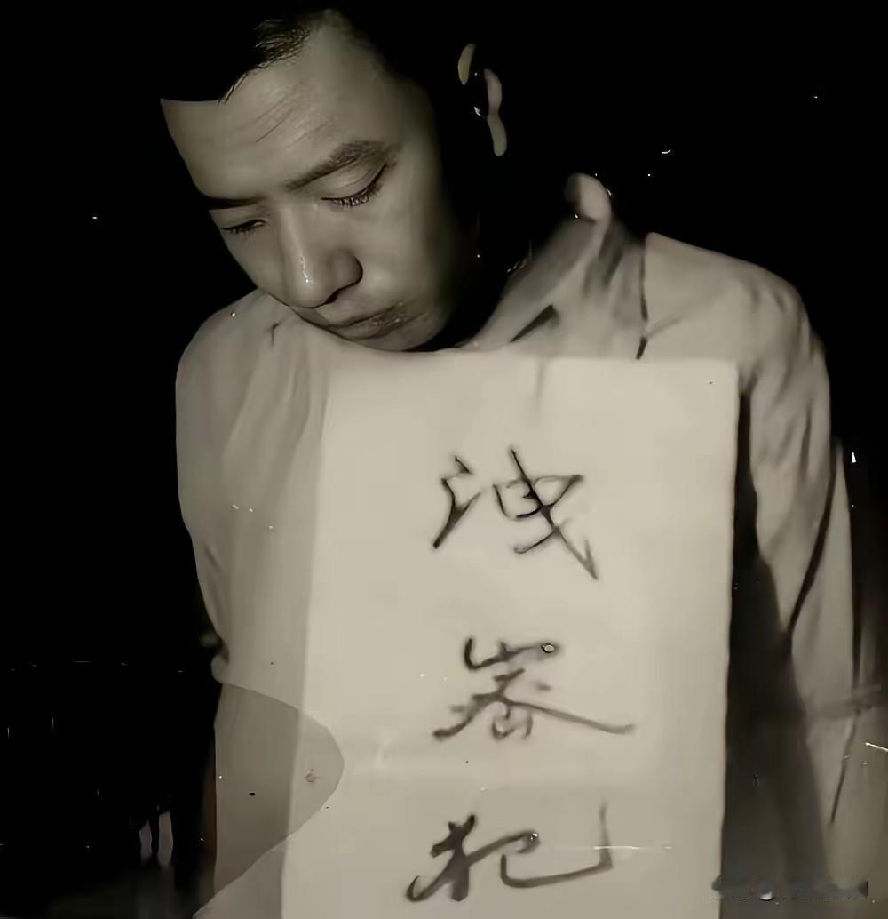 吴石将军手下的副官林志森两个月前被枪毙了。他原本一直在帮吴石传递军事地图，后来被