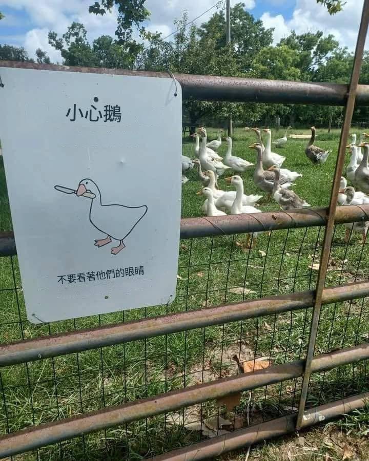 小心🔪​​​