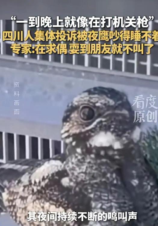 看度新闻5月13日报道，深夜“机关枪声”响彻四川多城，居民集体崩溃：求求你，快找