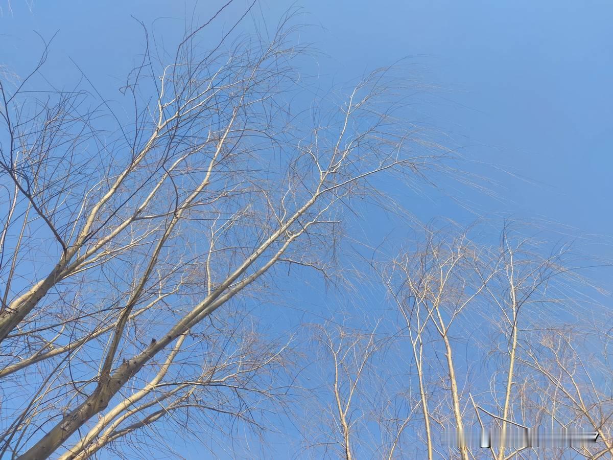 同学拿着会议记录找领导签字。领导翻了两页，合上。“我没怎么听，你先找别人签吧