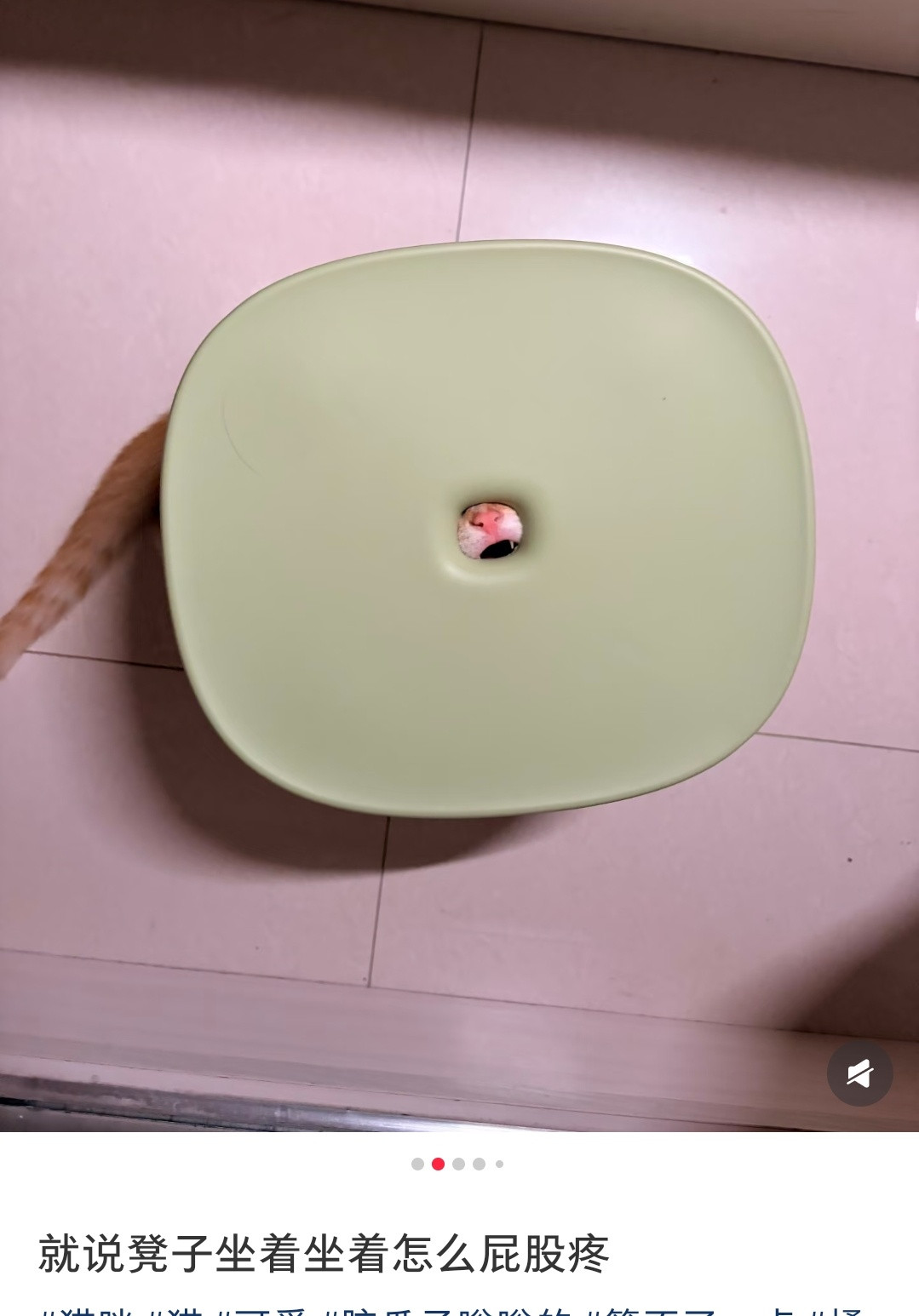 你猜为什么坐着坐着突然pg疼