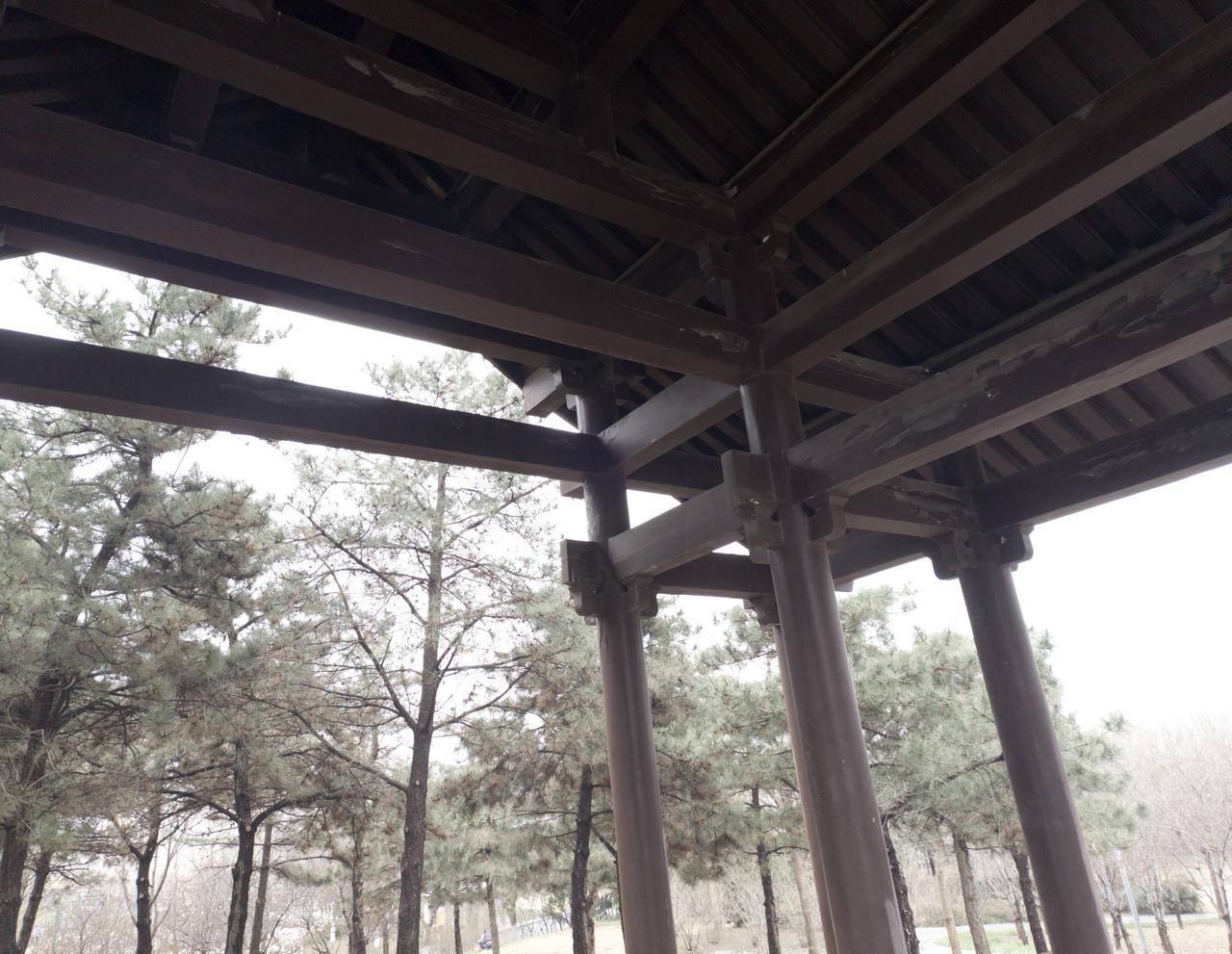 邻居读研的孩子说，他们学校多届同学的惯例是，实验进入关键时候轮流值班，晚上一般要