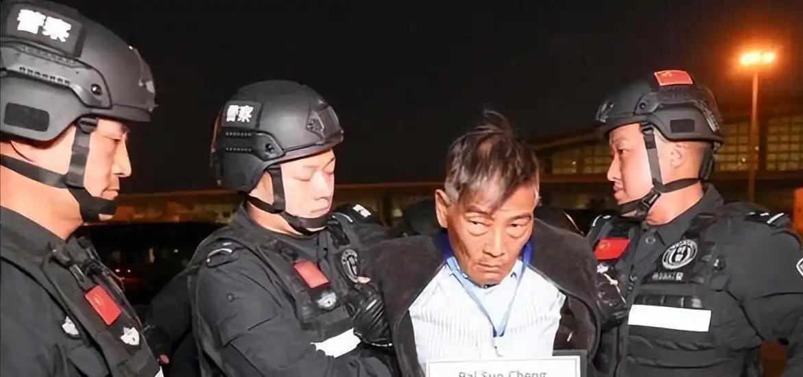为什么从纪录片里看到，从缅甸救回来的受害者几乎全是男性？因为被骗进园区的女孩逃脱