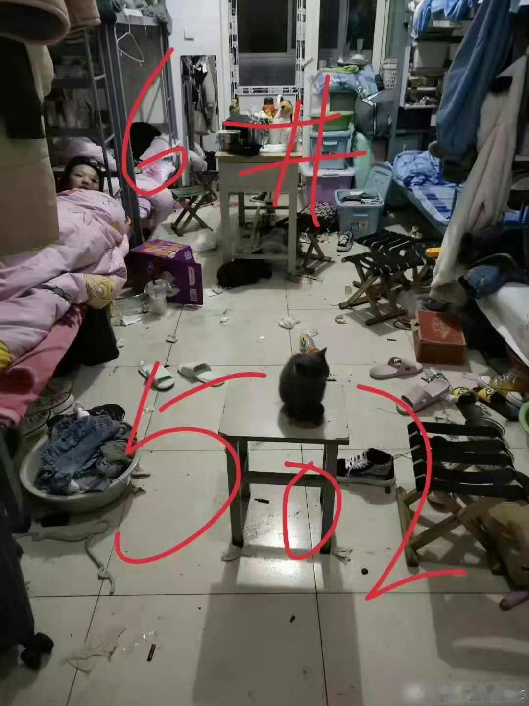 网上看到一张照片，说是一间女大学生宿舍令人不敢相信。。。。