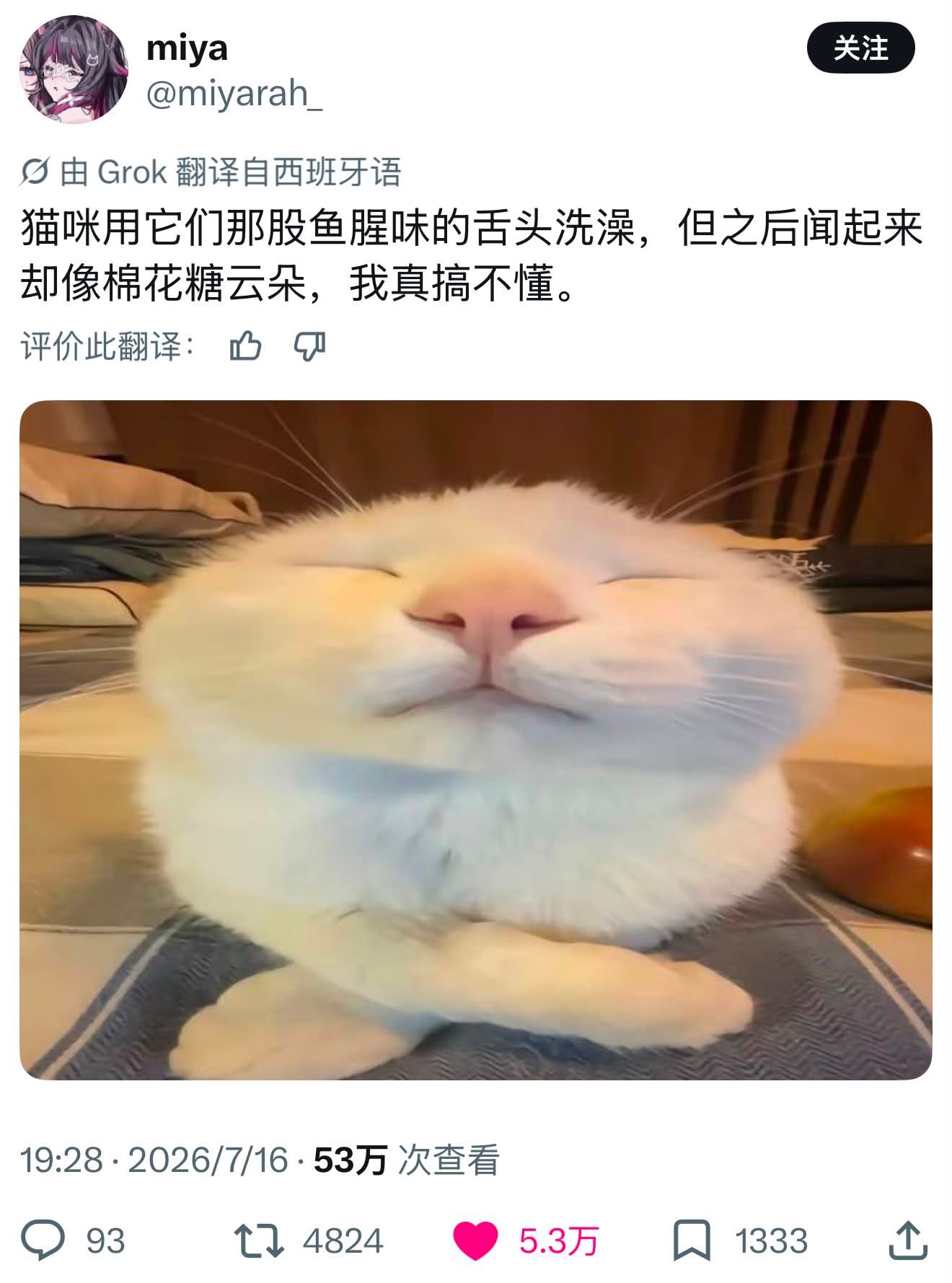 搞不懂meme