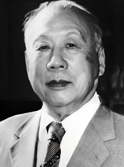 1945年9月底，已经向我军投降的日军航空队队长林弥一郎，在和伍修权交谈时，看到