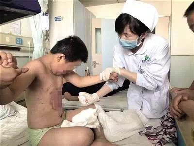 如果孩子要看, 请看适合孩子看的八部动画片