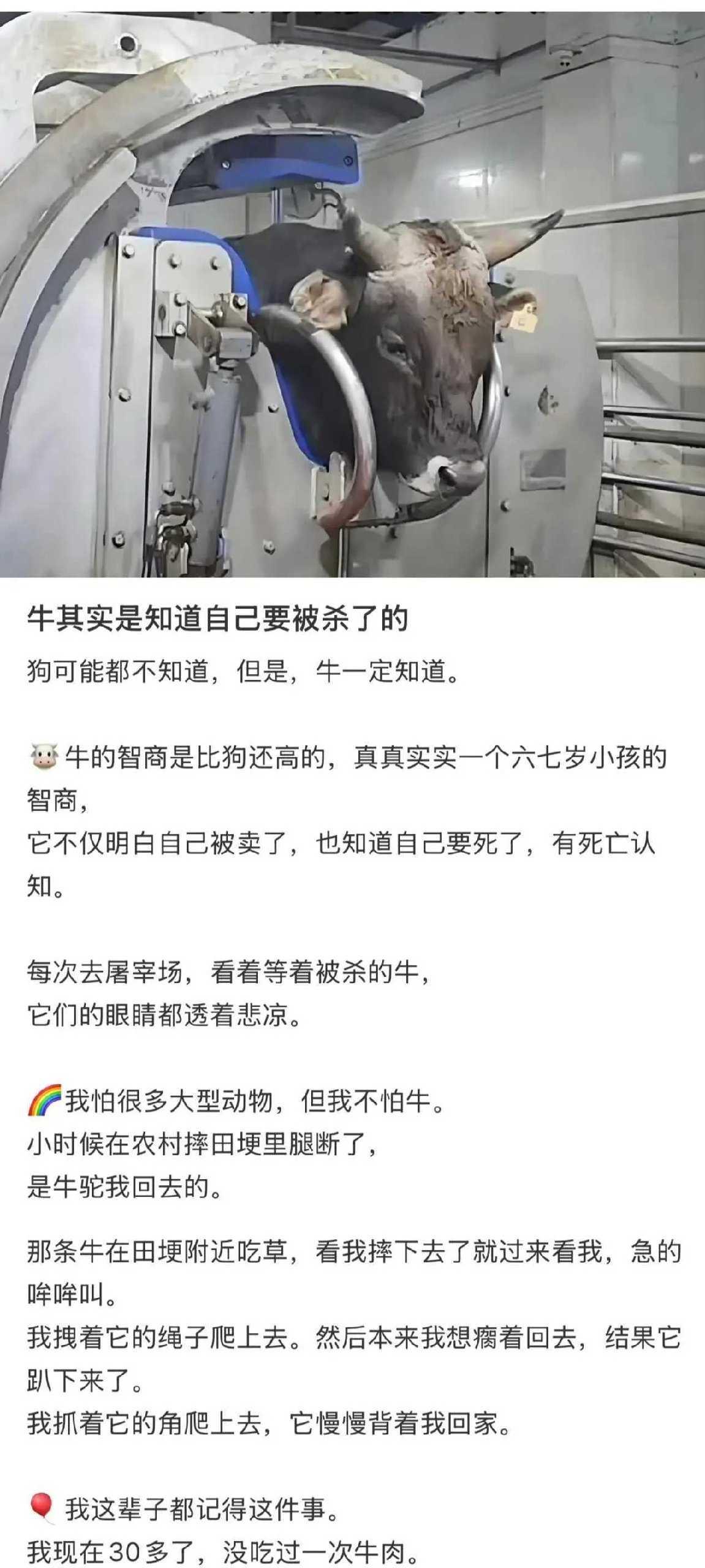 这一刻，牛马自己都知道的！