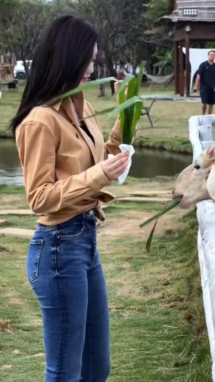 绿草如茵映碧波，轻抚马儿意自得。