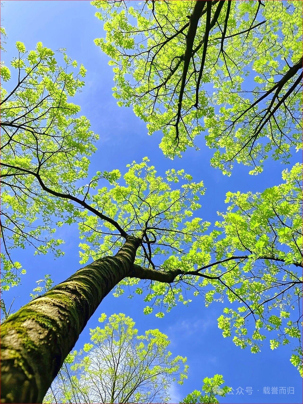 如果你的另一半是天蝎女，你睡着都能笑醒，只要你不惹她生气，你们的日子一定会