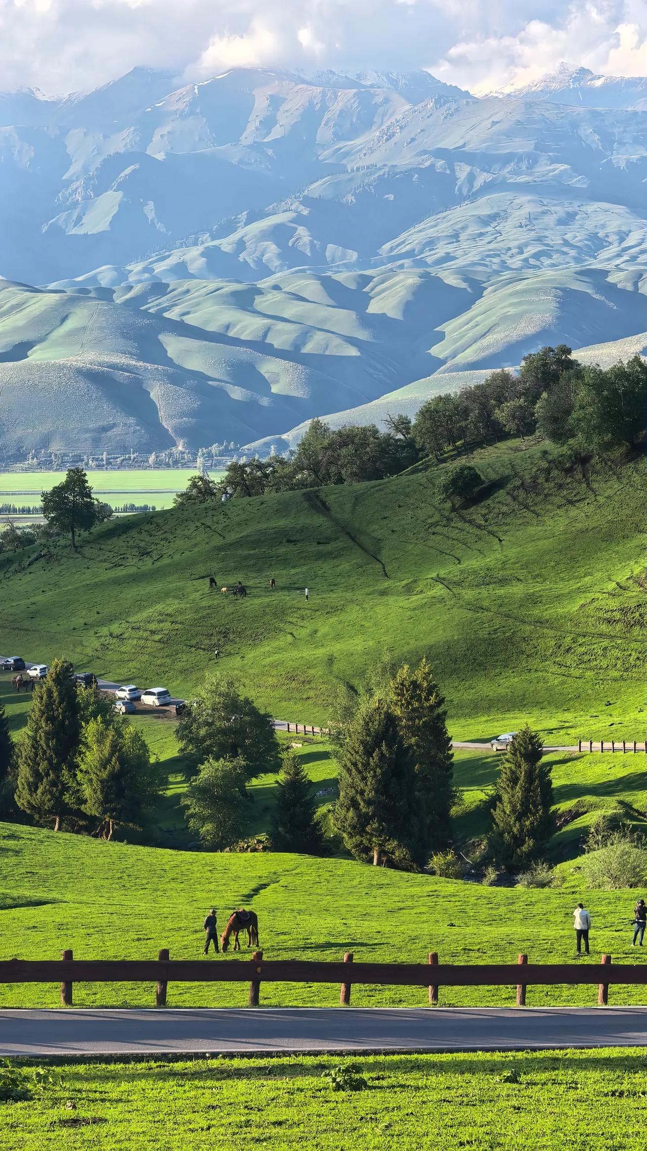 班上一个小男孩儿，看着特别心疼，为什么特别心疼呢？因为他在初中的时候都是在班级前