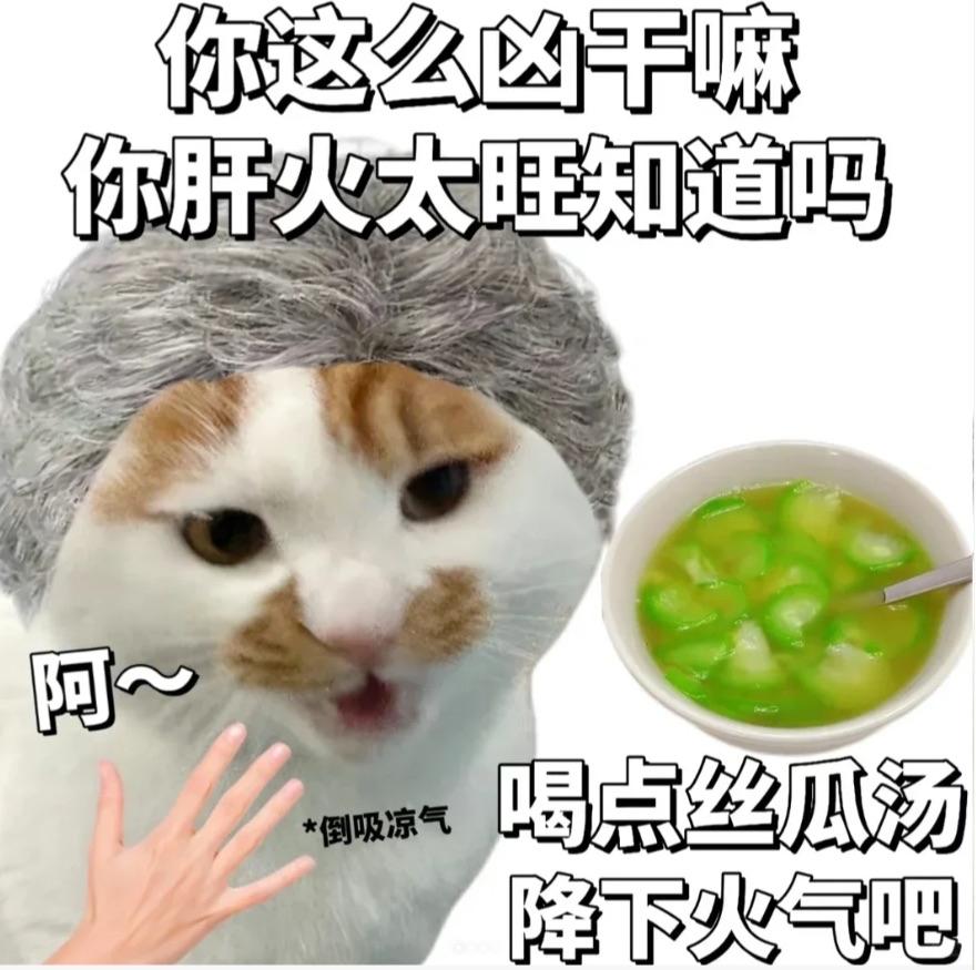 浦东三林老街迎世纪改造！瑞安+陆家嘴联手打造55万㎡“江南水乡新地标”，未来或成