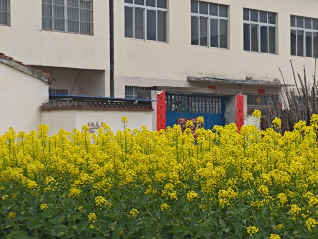 中小学教师评职称，准备的不仅是材料，更是职业生涯的关键一步。结合多地评审实践，以