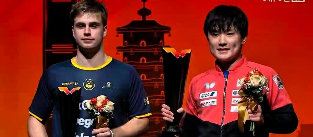 张本智和夺冠，跪地疯狂庆祝，没想到莫雷加德的反应居然是这样WTT香港总决赛