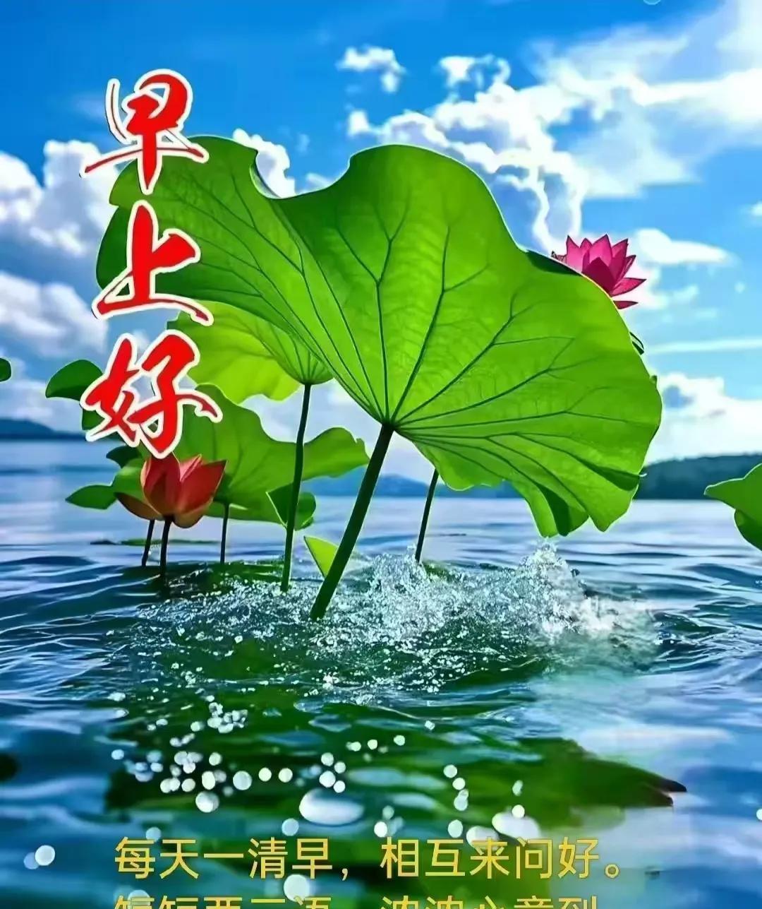 问候中倍感阵阵清凉祝福中又迎来新的一天早安吉祥！