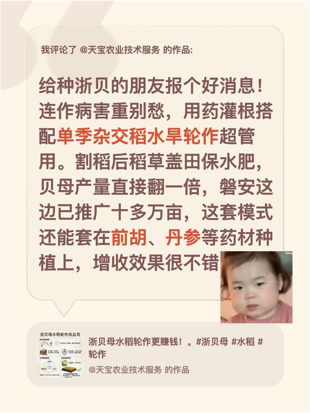 浙贝母套种收益更高！我评论了@天宝农业技术服务的作品：给种浙贝的朋友报个好消