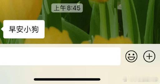 crush说早安小狗该怎么回复​​​
