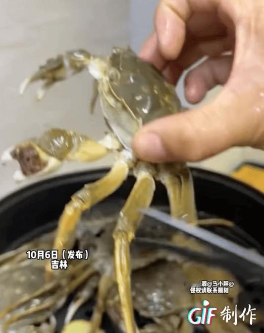 “刚试了是真的！”吉林一男子蒸螃蟹的时候剪掉其一节小腿，没想到下一秒螃蟹居然“自