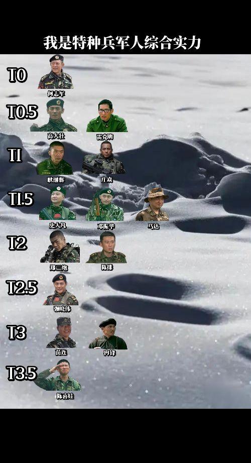 我是特种兵军人综合实力分档