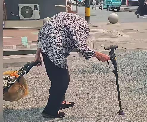 世人都向往长寿，可这样的长寿，又有什么意义？身子不听使唤，走路步步艰难，很多事