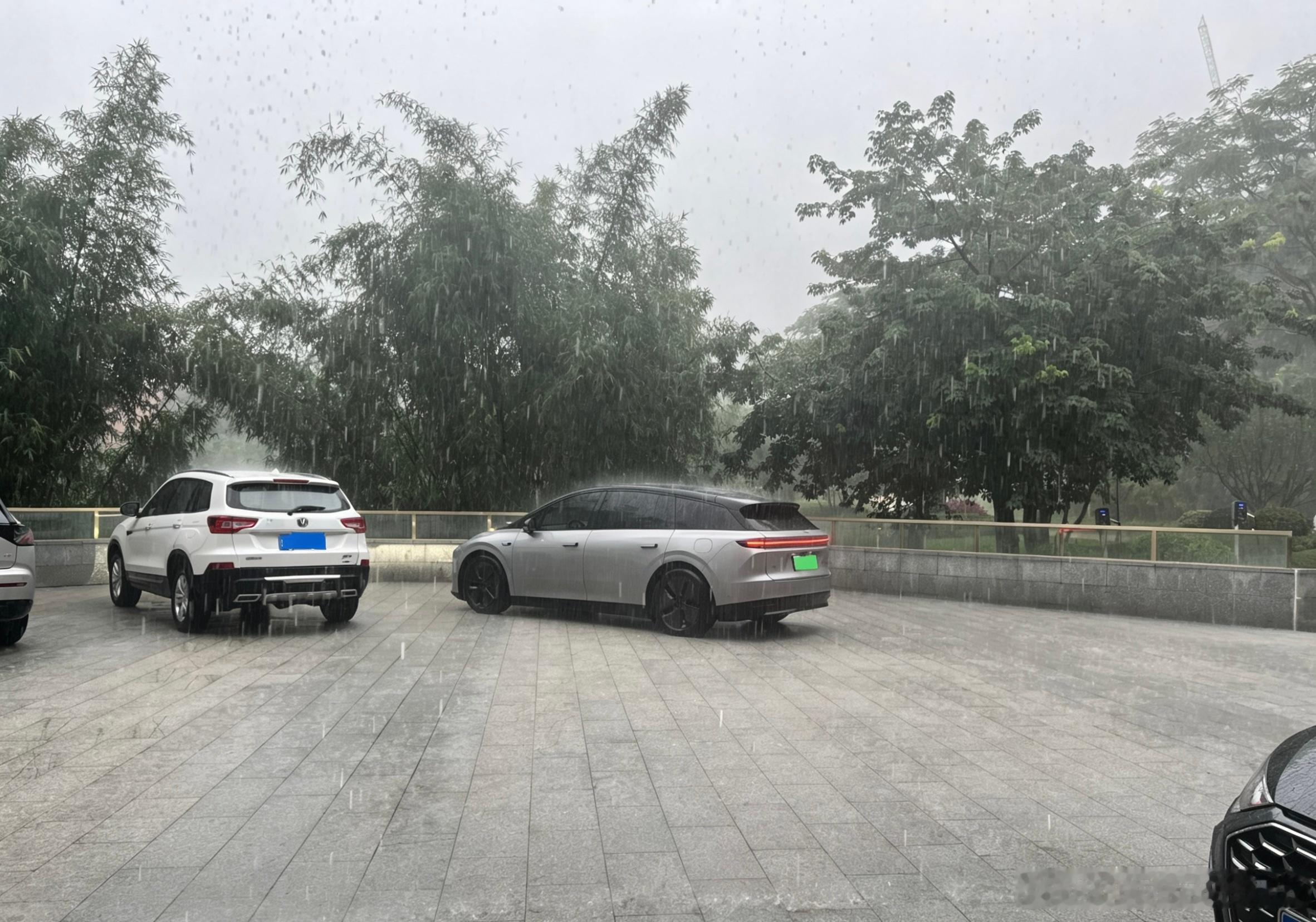 这个时候有个自定义泊出就好了现在遥控泊出识别不到车位还用不了理想汽车理想i6