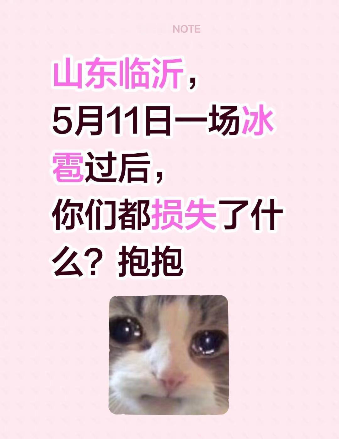 山东临沂，5月11日一场冰雹过后，你们都损失了什么？抱抱临沂天气冰雹灾害山东